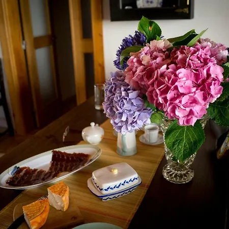 Konukevi Casa De Harry E Carrie Alvorninha